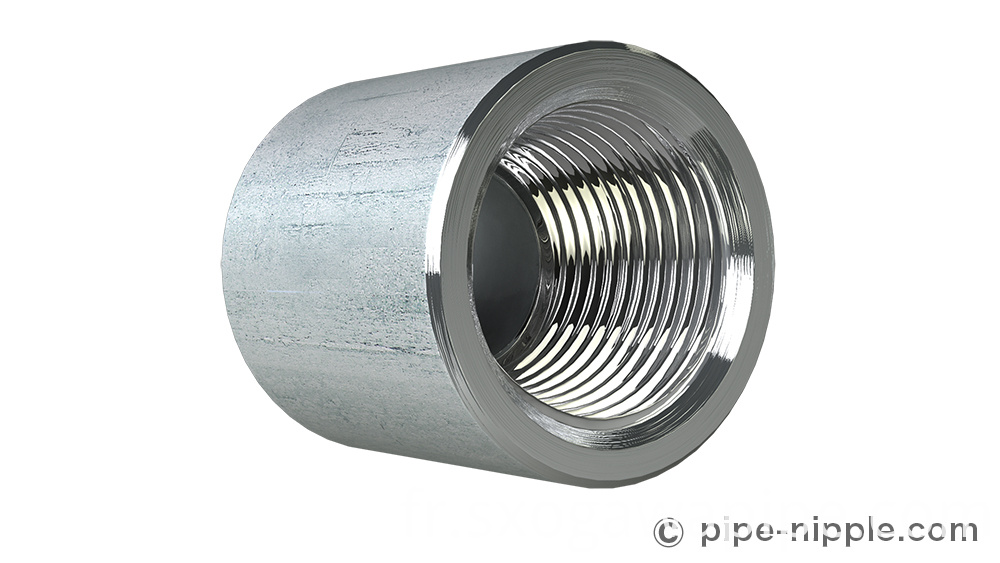 Douille standard demi-cône Half Taper Standard Socket